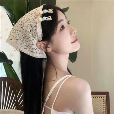 廉政风云 烟幕